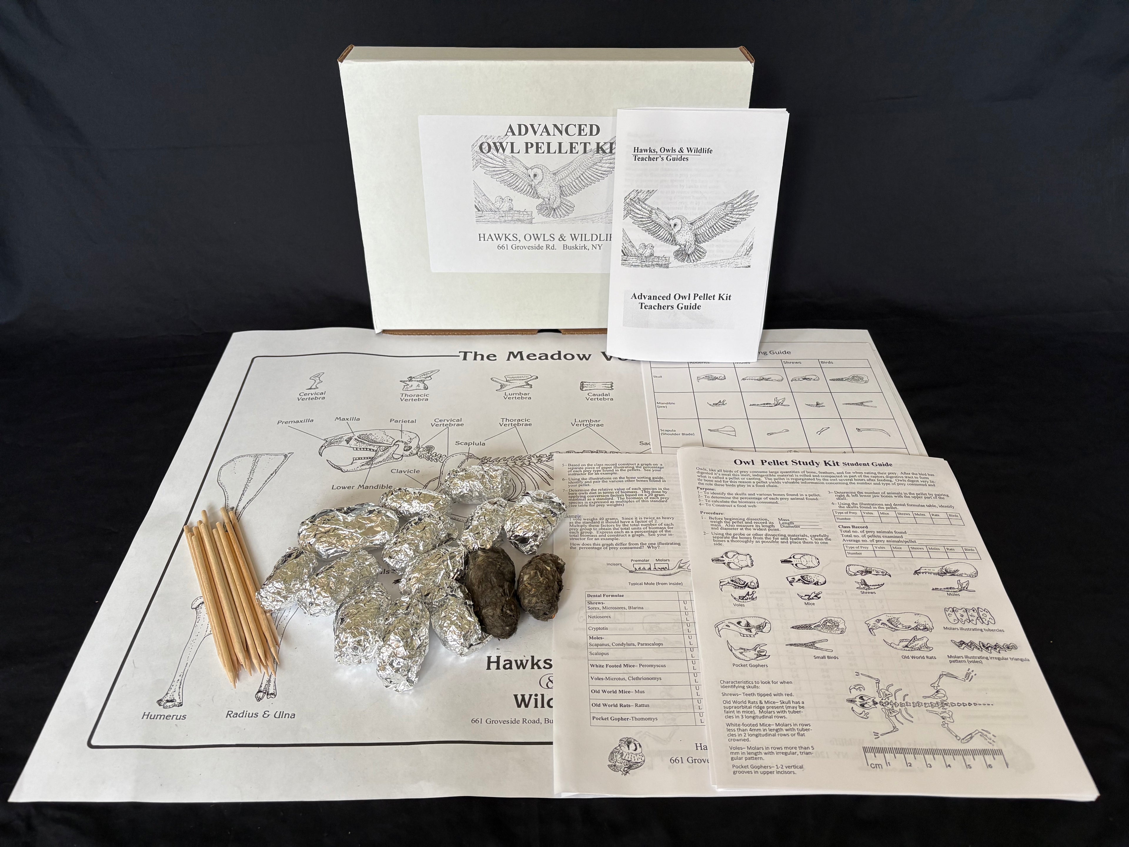 Advanced Owl Pellet Kit