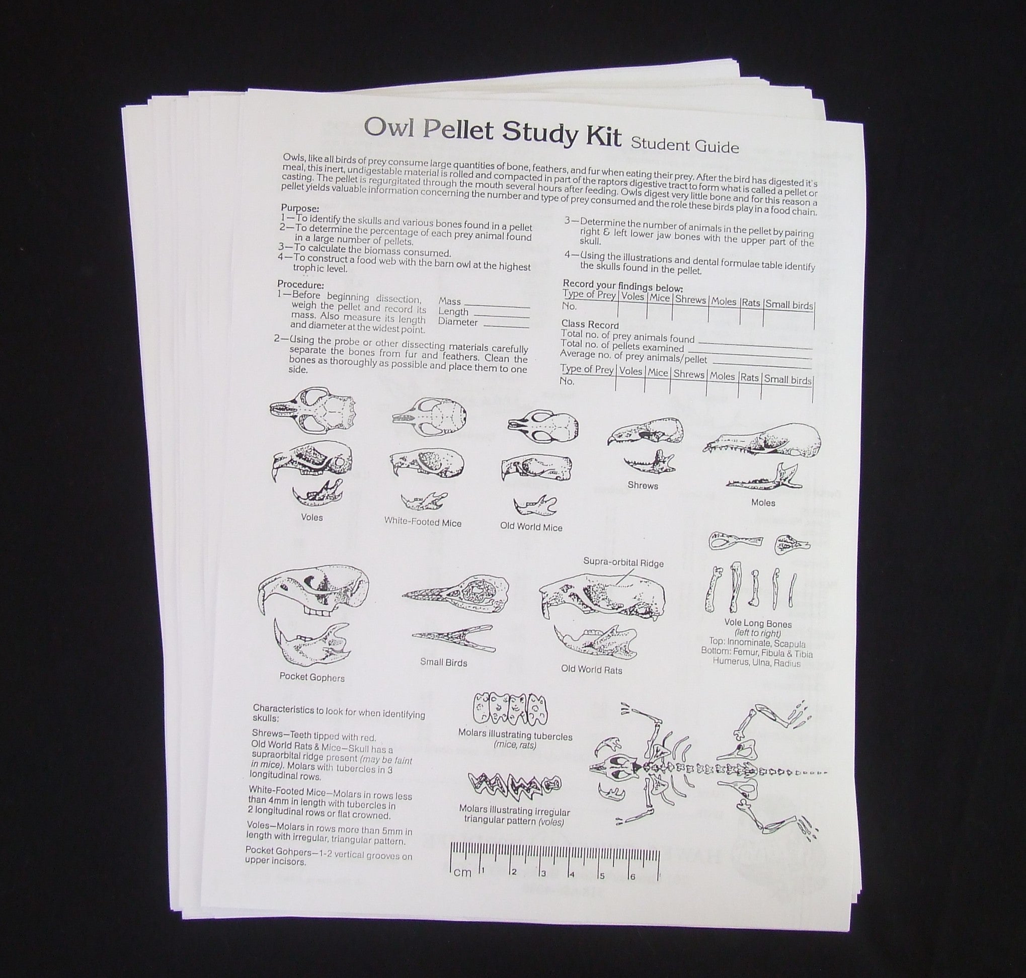Advanced Owl Pellet Student Guides