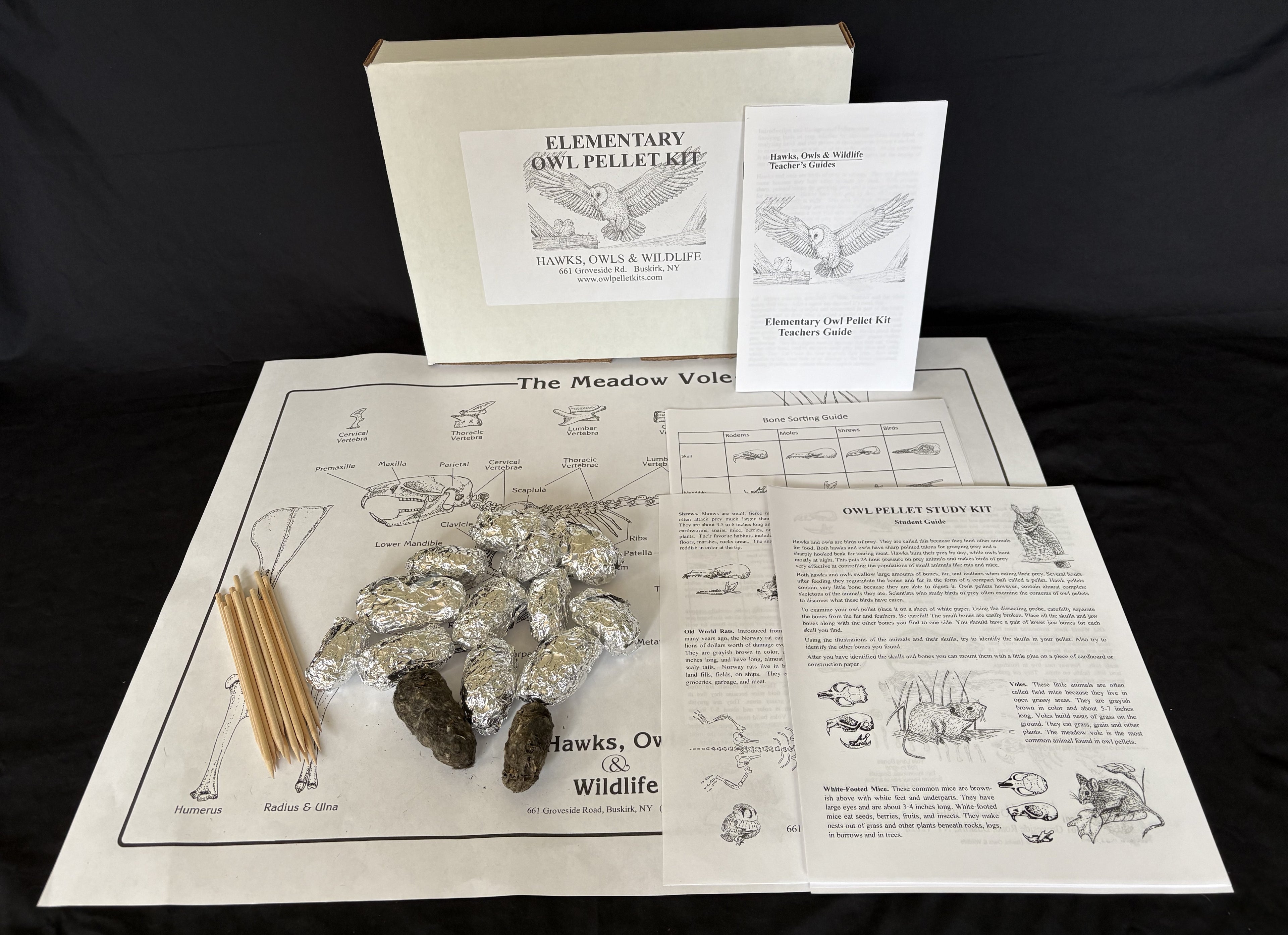 Elementary Owl Pellet Kit