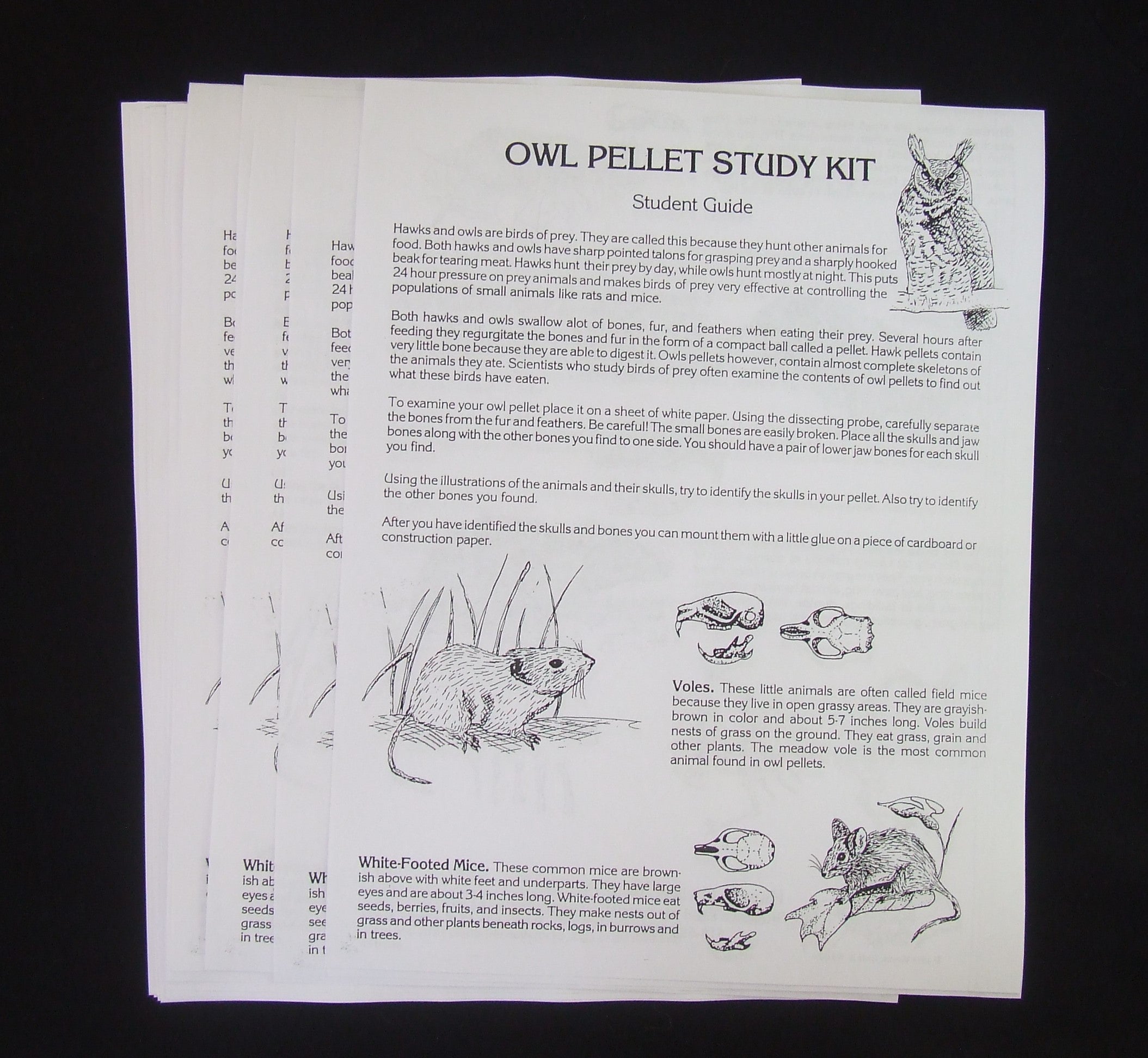 Elementary Owl Pellet Student Guides