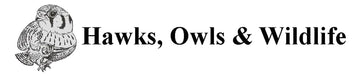 Hawks, Owls &amp; Wildlife - Home